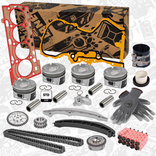 Repair set - complete piston with rings and pin (for 1 engine 