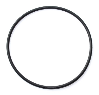 Seal Ring, fuel filter - 003.020 ELRING - 0179979345, 4892784, A0179979345