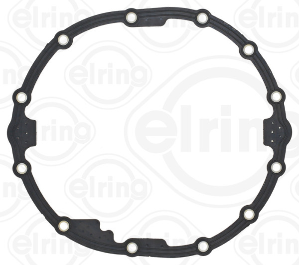 Seal, differential housing cover - 201.110 ELRING - 22943110