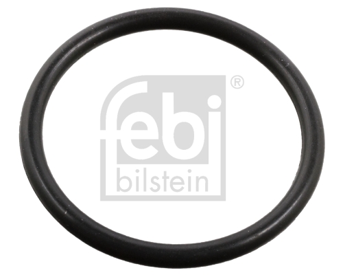 FE106612, Těsnicí kroužek, vstřikování, Těsnění, FEBI BILSTEIN, A0289976745, 0289976745, 5ORI1006, WG2326712