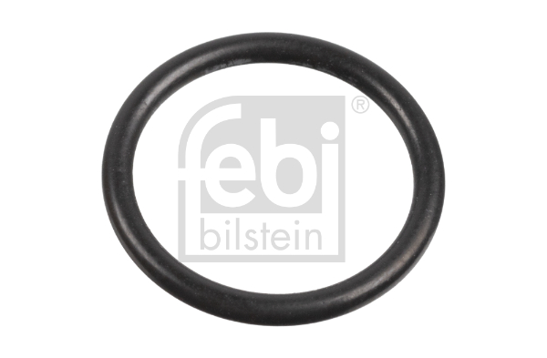 FE171586, Dichtring, Einspritzventil, FEBI BILSTEIN, A0289976845, 0289976845, 7722012, WG2326785