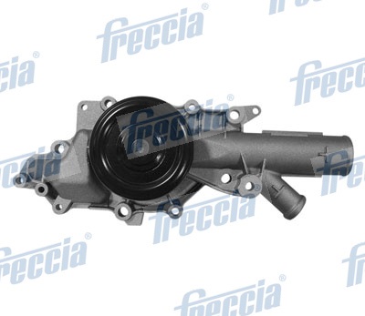Water Pump, engine cooling - WP0123 FRECCIA - 6462000301, A6462000301, 130366