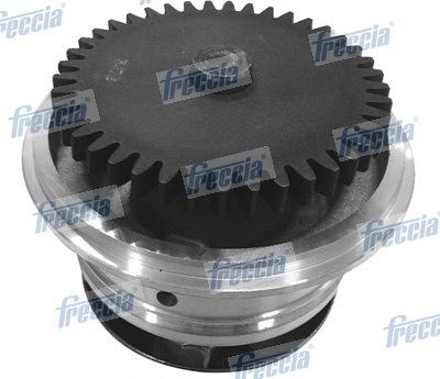 Water Pump, engine cooling - WP0295 FRECCIA - 062121010A, 062121010B, 2070