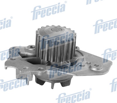 Water Pump, engine cooling - WP0312 FRECCIA - 1201.39, 91511136, 1201.63