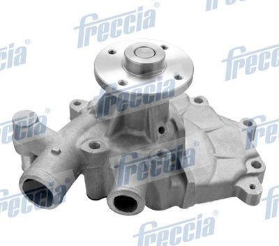Water Pump, engine cooling - WP0346 FRECCIA - 21010-G5586, 21010-G81Y5, 21010-G8125