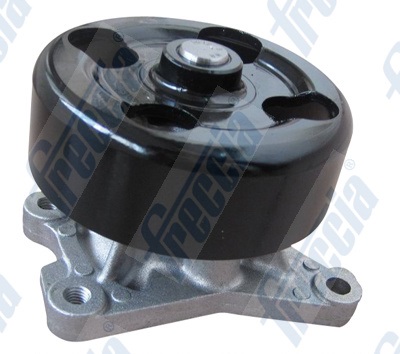 Water Pump, engine cooling - WP0557 FRECCIA - 210101988R, 210102773R, B10101GZ0A