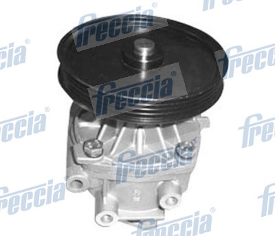 Water Pump, engine cooling - WP0568 FRECCIA - 7723345, 7691046, 7617168