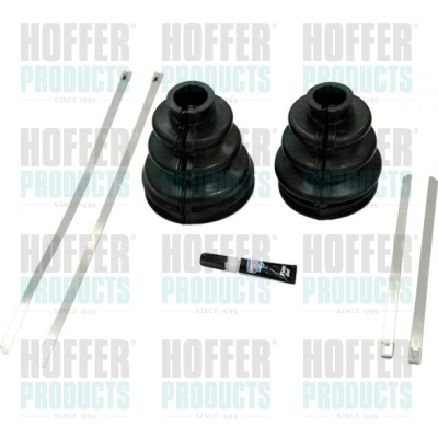 Repair Kit - HOF01596 HOFFER - 01596, 240650030, S1596