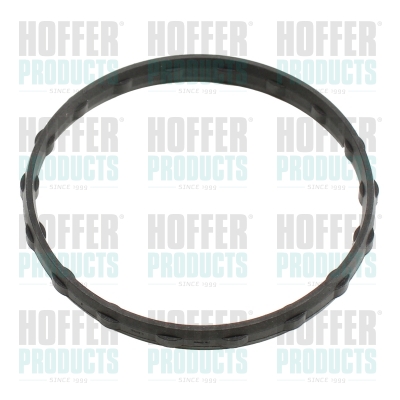 HOF01692, Seal, thermostat, HOFFER, 1305A100*, 1322000015*, A1322000015*, 01692, 382470065, 7.9710, 94.01692, 9101692