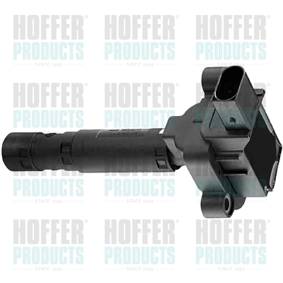 Ignition Coil - HOF8010456 HOFFER - 2504066, A0001502980, 001501580