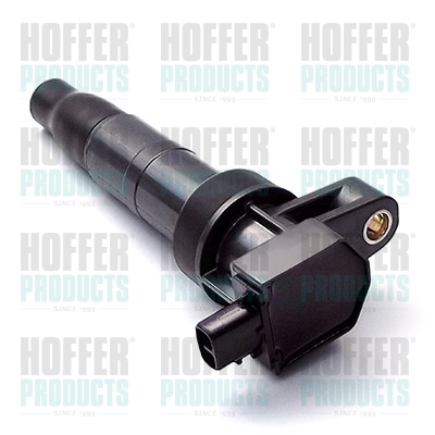 Ignition Coil - HOF8010618 HOFFER - 2504006, 273013C100, 134006