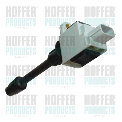 Ignition Coil - HOF8010726 HOFFER - 224484W001, IGC0023, HEXEXM2844