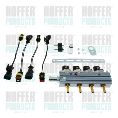 Vstřikovací ventil - HOFH13064 HOFFER - 77366187, 13050, 241360082