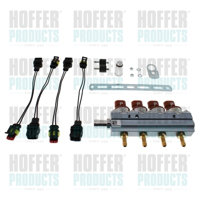 Vstřikovací ventil - HOFH13065 HOFFER - 13047, 241360079, 780041