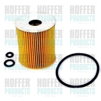 Oil Filter - HOF14133 HOFFER - 03P115466, 03P115562, 10-ECO128