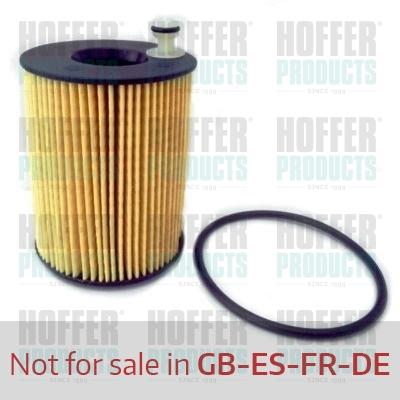 Oil Filter - HOF14142 HOFFER - 55224598, 10-ECO127, 14142