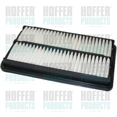 Air Filter - HOF16038 HOFFER - 17220PAAA00, 120557, 16038