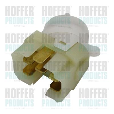 Ignition Switch - HOF2104005 HOFFER - 357905865, 6N0905865, 6N0905865A