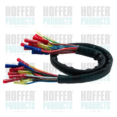 Repair Kit, cable set - HOF25062 HOFFER - 1K6971147N*, 1512105, 2321006