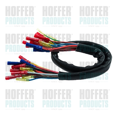 Repair Kit, cable set - HOF25063 HOFFER - 1K6971147N*, 701971120AC*, 7D0971120AP*