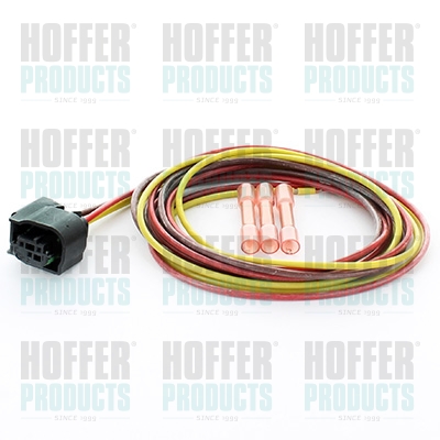 Repair Kit, cable set - HOF25181 HOFFER - 8201428503*, 240660157, 25181