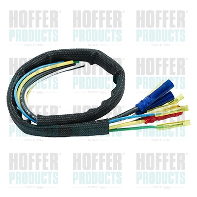 HOF25398, Repair Kit, cable set, HOFFER, 240660359, 25398, 405398, 9912040, V99-83-0001, 8035398