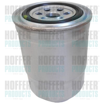 Fuel Filter - HOF4142 HOFFER - 164034U11A, 190684, YL4J9155BA