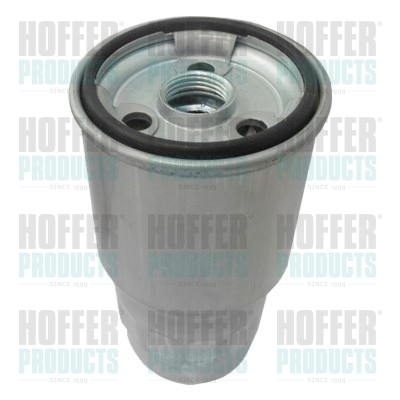 HOF4211, Fuel Filter, HOFFER, 2339033010, R2L113ZA5B9A, 2339064450, R2L113ZA5, 2339033060, R2L113ZA5A, 2339033030, 2339033020, 110304, 2441300, 3002295, 30295, 4211, 457434440, 5067, ALG2434, BG1581, CS465, CTY13021, DDFF16700, DN1918, ELG5269, F58290, FC295S, FP5432, FSM4135, H232WK, HDF541, IFG3295, J1332057