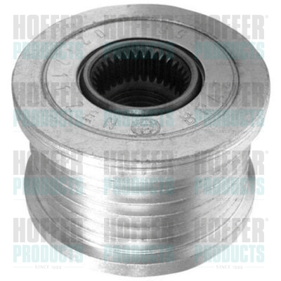 Alternator Freewheel Clutch - HOF45134 HOFFER - 231000012R*, 353690, 231000003R*