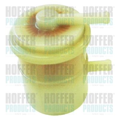 Fuel Filter - HOF4523 HOFFER - 0818507, 1541079100000, 4291151