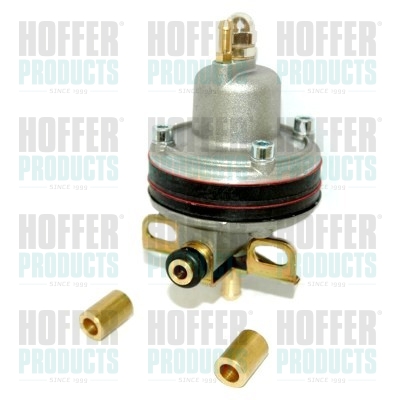 HOF5446, Fuel Pressure Regulator, HOFFER, 240630010, 5446, 9205446