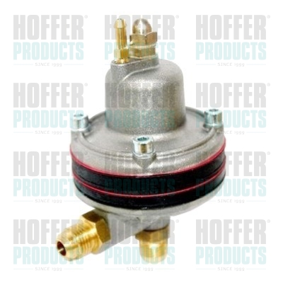 Fuel Pressure Regulator - HOF5454 HOFFER - 240630018, 5454, 9205454