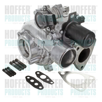 Charger, charging (supercharged/turbocharged) - HOF6900770 HOFFER - 17201-0L040, 17201-0L041, 17201-0L042