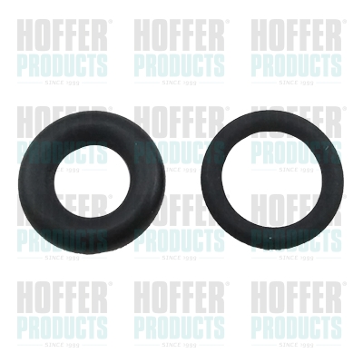 Seal Ring Set, injection valve - HOF71243 HOFFER - 1981-47, 198147, 240650161