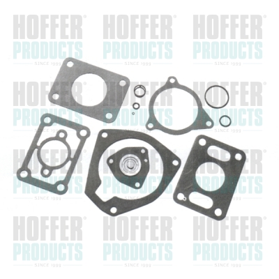Repair Kit, injection nozzle - HOF750-10011 HOFFER - 18003, 240650142, 750-10011