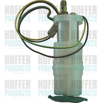 Kraftstoffpumpe - HOF7506405 HOFFER - 100906001, 129343, 313011300056