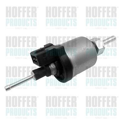 Fuel Pump - HOF7507722 HOFFER - 25183145-R1002, 321920068, 70998