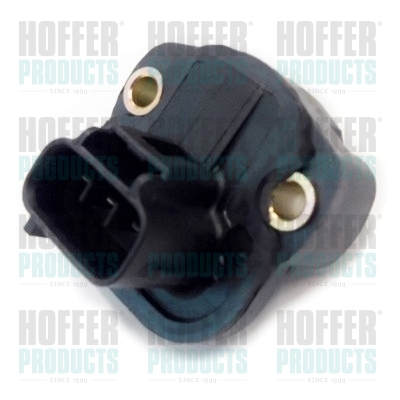 HOF7513135, Sensor, throttle position, HOFFER, 4686360, 4686360AC, 4686360AB, 2001105, 410600055, 7513135, 83135, 84.170