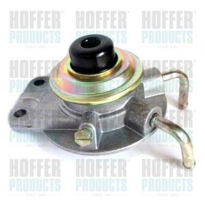 HOF8029029, Injection System, HOFFER, MB129677, MB554950, 3197444000, 392020006, 8029029, 81.008, 9029, 99DH011, DH011