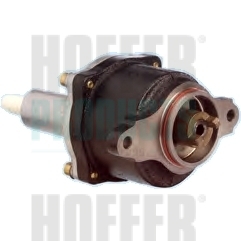Vacuum Pump, braking system - HOF8091013 HOFFER - 7700735265, 371130016, 72480756