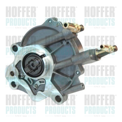 Vacuum Pump, braking system - HOF8091150 HOFFER - 456582, LR013835, LR101753