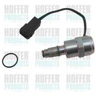 Fuel Cut-off, injection system - HOF8029119 HOFFER - 391980019, 8029119, 81.046