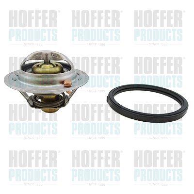Thermostat, coolant - HOF8192910 HOFFER - 25500-03850, 350617A, 421150549