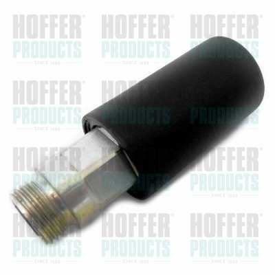 Pump, fuel pre-supply - HOF8029360 HOFFER - 02111897, 1427670, 1745259