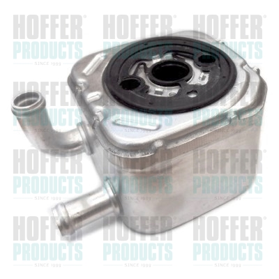 Oil Cooler, engine oil - HOF8095005 HOFFER - 059117021B, 046004N, 05964