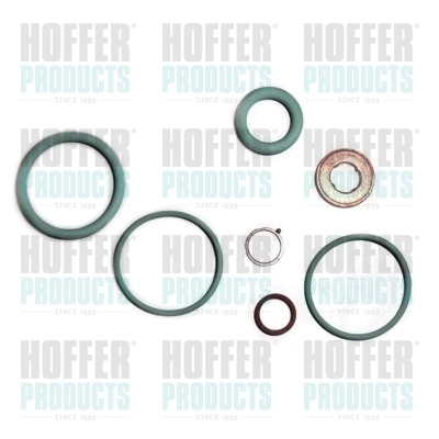 Repair Kit, injection nozzle - HOF9541 HOFFER - 0445120025*, 391990020, 83.1323