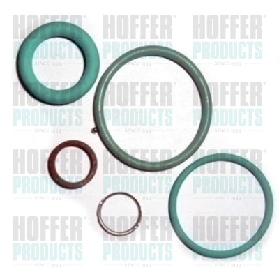 HOF9550, Repair Kit, injection nozzle, HOFFER, 0445120110*, 391990028, 83.1332, 9550, 0445120083*, 8029550