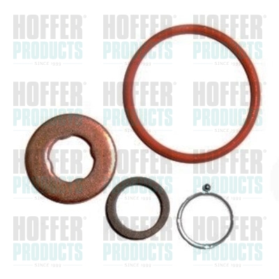 Repair Kit, injection nozzle - HOF9565 HOFFER - 198073, 1980H4, 3380027000