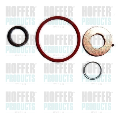 Repair Kit, injection nozzle - HOF9569 HOFFER - 093179047, 55184535, 55187290