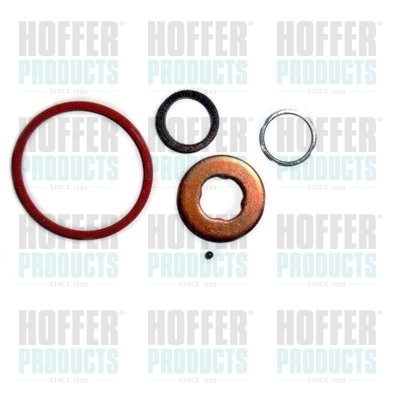 Repair Kit, injection nozzle - HOF9570 HOFFER - 0445110148*, 391990047, 8029570